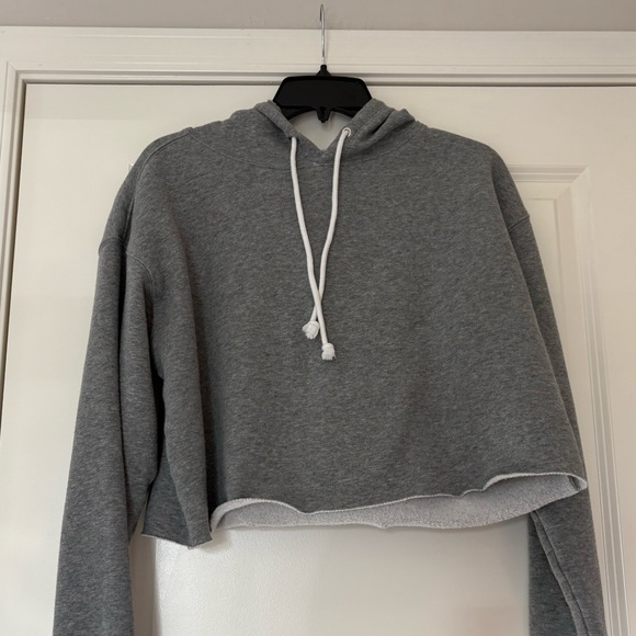 Wild Fable Gray Cropped Hoodie - Picture 1 of 8